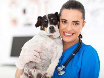 veterinary professionals